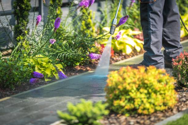 Best Pool Deck Cleaning  in Clara City, MN