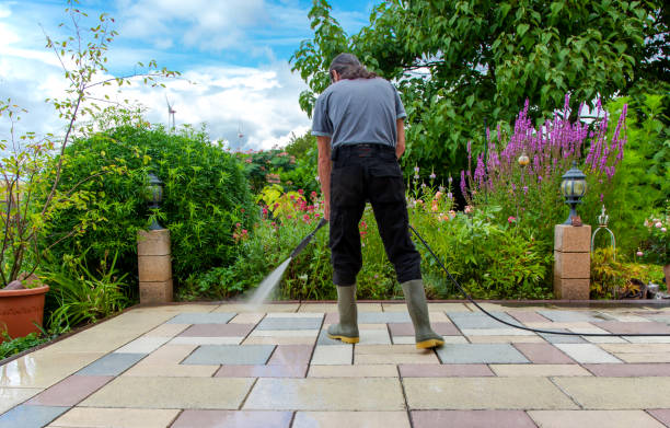 Best Parking Lot and Garage Cleaning  in Clara City, MN